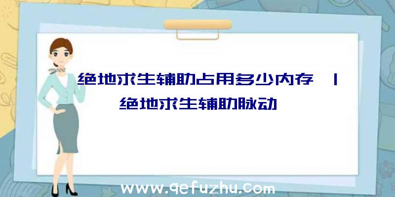 「绝地求生辅助占用多少内存」|绝地求生辅助脉动